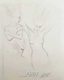 Alex Ross Black Orchid rare pencil drawing ORIGINAL ART Excellent Display Piece