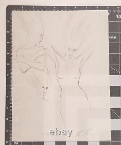 Alex Ross Black Orchid rare pencil drawing ORIGINAL ART Excellent Display Piece