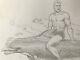 Beautiful Aquaman Undersea On Dolphin With Fish Ramona Fradon Signed Pencil Art