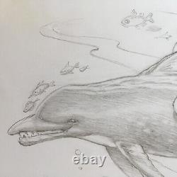 Beautiful AQUAMAN undersea on dolphin with fish RAMONA FRADON signed pencil art