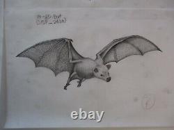 Collection Drawings Comic Illustration Animation Bat Creature Architectural