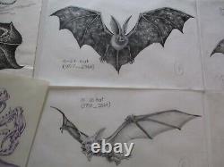 Collection Drawings Comic Illustration Animation Bat Creature Architectural