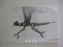 Collection Drawings Illustration Animation Comic Art Flying Bat Bats Creatures