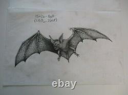 Collection Drawings Illustration Animation Comic Art Flying Bat Bats Creatures