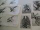 Collection Drawings Illustration Animation Comic Bat Creature Lot Mystery Artist