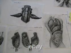 Collection Drawings Illustration Animation Comic Design Bat Creature Face Body