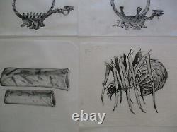 Collection Drawings Illustration Animation Comic Design Creature Spider Bottle