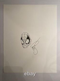 Erik Larsen Spider-Man Original Art