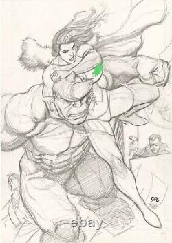 Frank Cho She-Hulk Vs Rhino Original Art