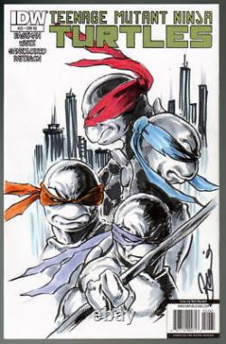 IDW Sketch Cover TEENAGE MUTANT NINJA TURTLES w TMNT Original Art by DAMON BOWIE