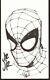 John Romita, Jr. Signed Spider-man Original Art-3 X 5! Free Shipping