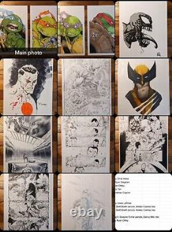 Original Art Bundle Ottley, Stegman, Invincible, Bloodshot, Spawn, Hellboy, etc