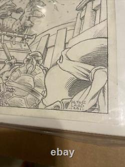 Peter Laird Teenage Mutant Ninja Turtles Adventures #30 Cover Original Art 1991