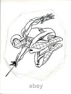 The Amazing Spider-Man Painted Original Art by Michael Cho