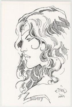 Wonder Woman by Ethan Van Sciver DC Comics Signed Sketch / Original Art
